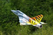 Freewing Mirage 2000 Tiger Meet 80mm EDF PNP