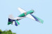Peak Model Edge 30cc 3D Airplane ARF