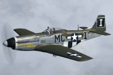 VQ Models P-51D (Happy Jack's Go Buggy) 46 Size EP/GP