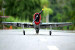 VQ Models P-47 D Thunderbolt Camo Version 46 Size EP/GP